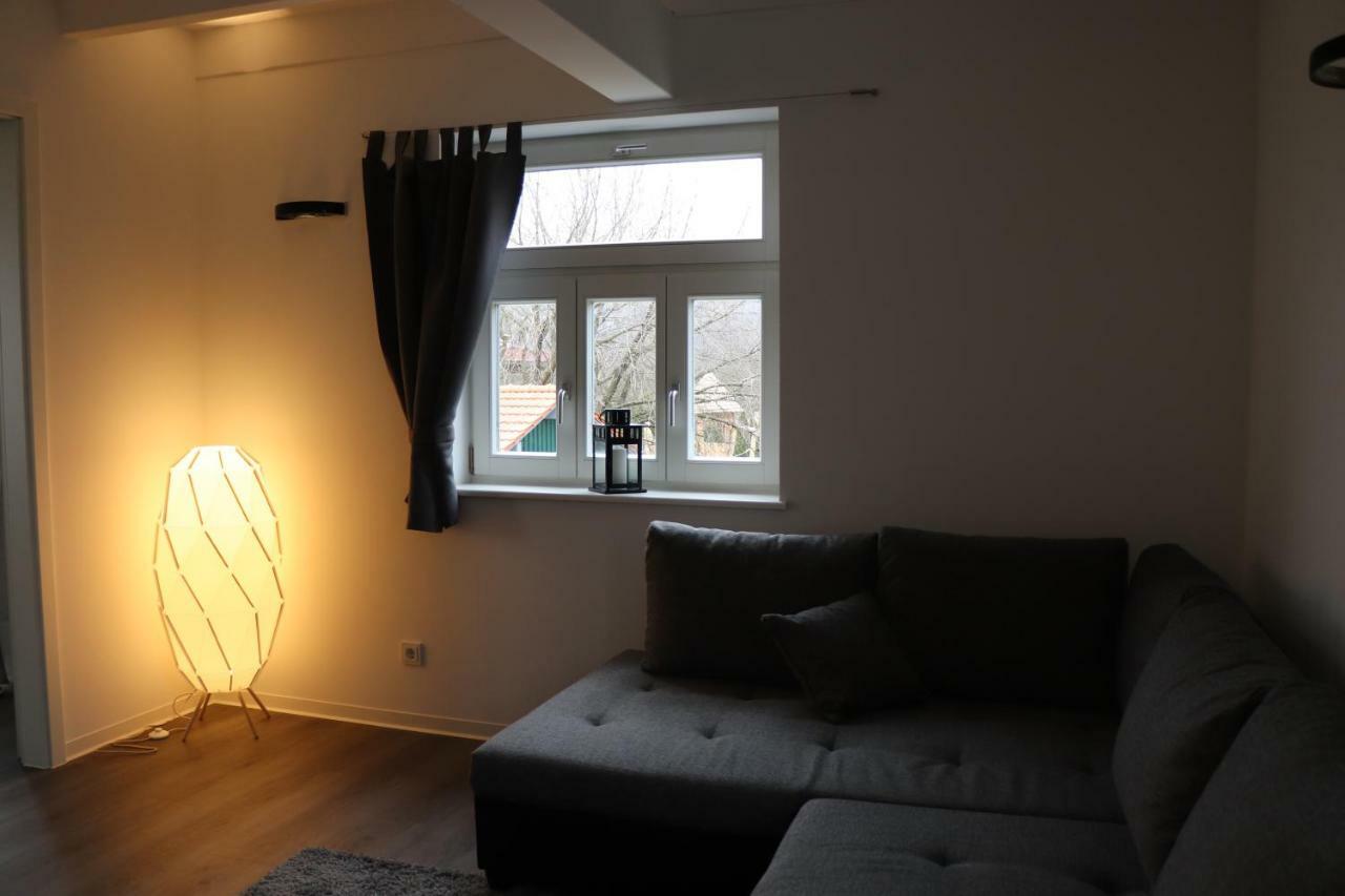 Apartmán "Fahner Muehle" Gierstädt Exteriér fotografie